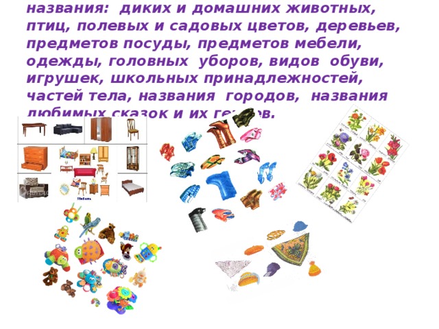 Используя лото и книги, учите с ребенком названия: диких и домашних животных, птиц, полевых и садовых цветов, деревьев, предметов посуды, предметов мебели, одежды, головных уборов, видов обуви, игрушек, школьных принадлежностей, частей тела, названия городов, названия любимых сказок и их героев.   