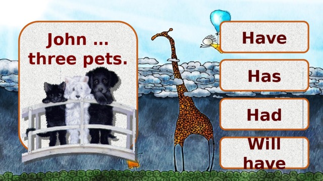 Have John … three pets.     Has Had Will have 