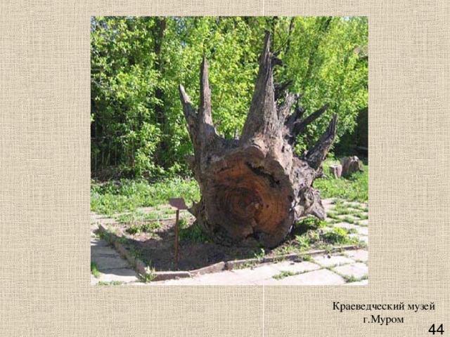 Краеведческий музей г.Муром    44 
