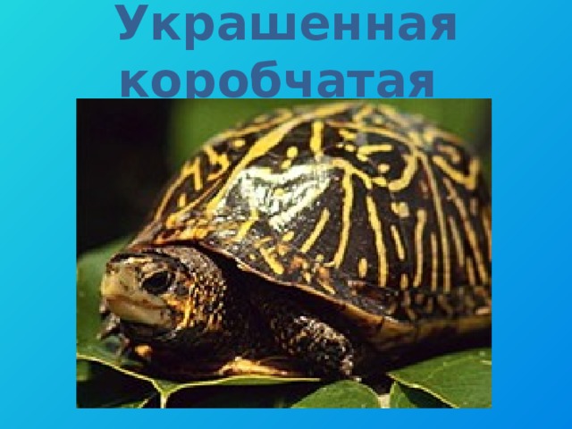 Украшенная коробчатая 