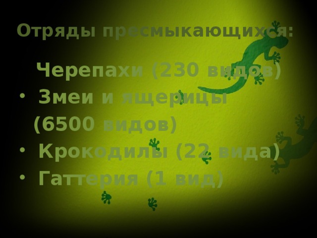 Отряды пресмыкающихся:  Черепахи (230 видов)  Змеи и ящерицы  (6500 видов)  Крокодилы (22 вида)  Гаттерия (1 вид) 