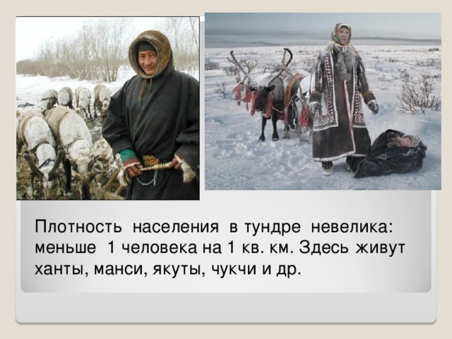 Плотность населения в тундре невелика: меньше 1 человека на 1 кв. км. Здесь живут ханты, манси, якуты, чукчи и др. 