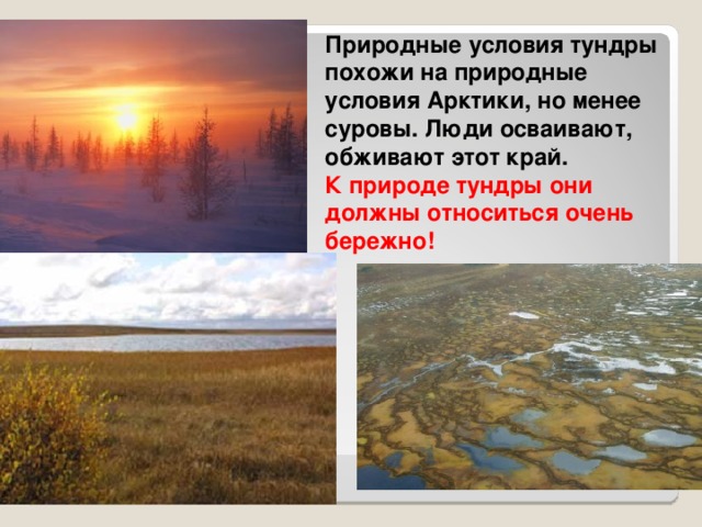 Природные условия тундры похожи на природные условия Арктики, но менее суровы. Люди осваивают, обживают этот край. К природе тундры они должны относиться очень бережно! 