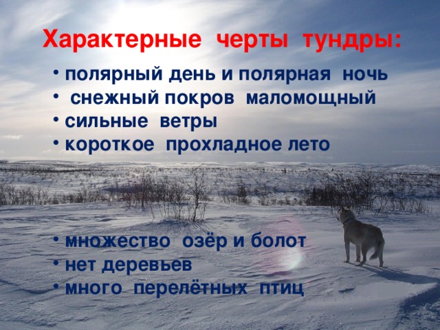 Характерные черты тундры:  полярный день и полярная ночь  снежный покров маломощный  сильные ветры  короткое прохладное лето     множество озёр и болот  нет деревьев  много перелётных птиц  