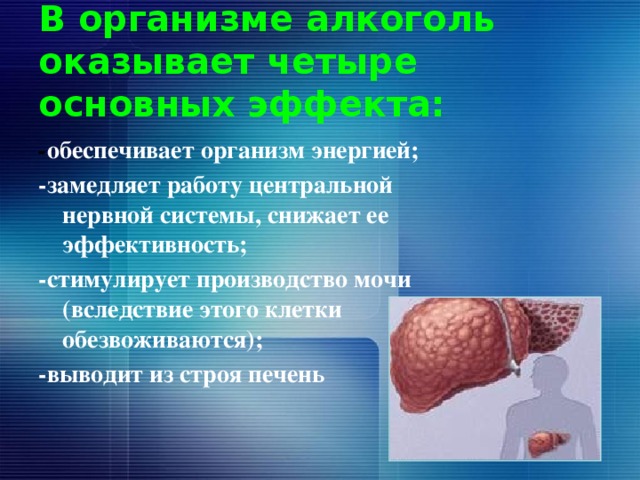 В организме алкоголь оказывает четыре основных эффекта: - обеспечивает организм энергией; -замедляет работу центральной нервной системы, снижает ее эффективность; -стимулирует производство мочи (вследствие этого клетки обезвоживаются); -выводит из строя печень 
