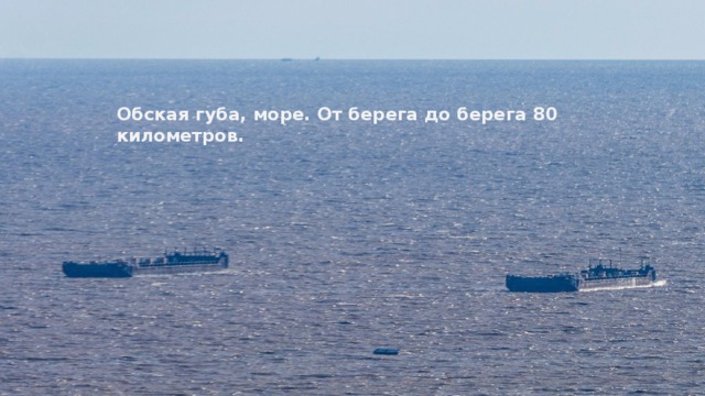 Обская губа, море. От берега до берега 80 километров. 
