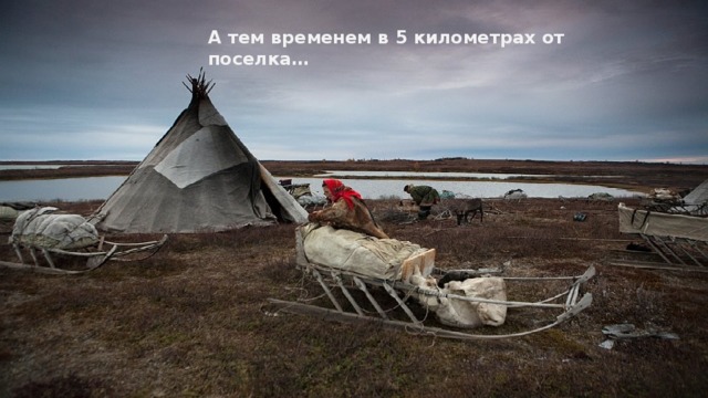 А тем временем в 5 километрах от поселка… 