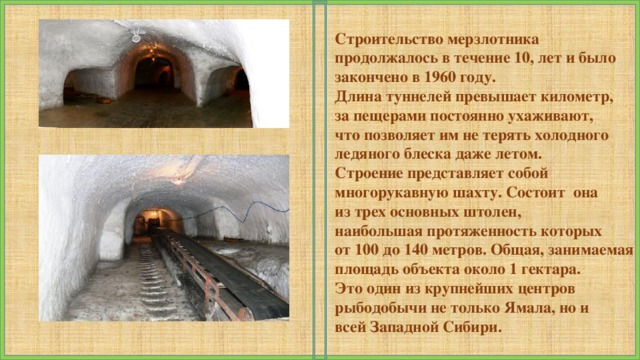 Строительство мерзлотника продолжалось в течение 10, лет и было закончено в 1960 году. Длина туннелей превышает километр, за пещерами постоянно ухаживают, что позволяет им не терять холодного ледяного блеска даже летом. Строение представляет собой многорукавную шахту. Состоит  она из трех основных штолен, наибольшая протяженность которых от 100 до 140 метров. Общая, занимаемая площадь объекта около 1 гектара. Это один из крупнейших центров рыбодобычи не только Ямала, но и всей Западной Сибири.      
