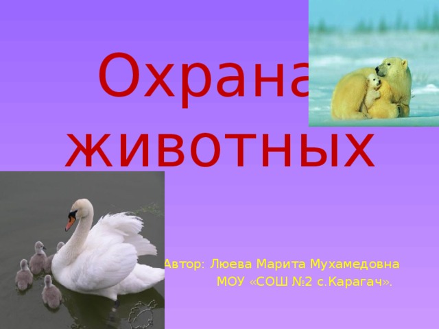 Охрана  животных Автор: Люева Марита Мухамедовна  МОУ «СОШ №2 с.Карагач». 