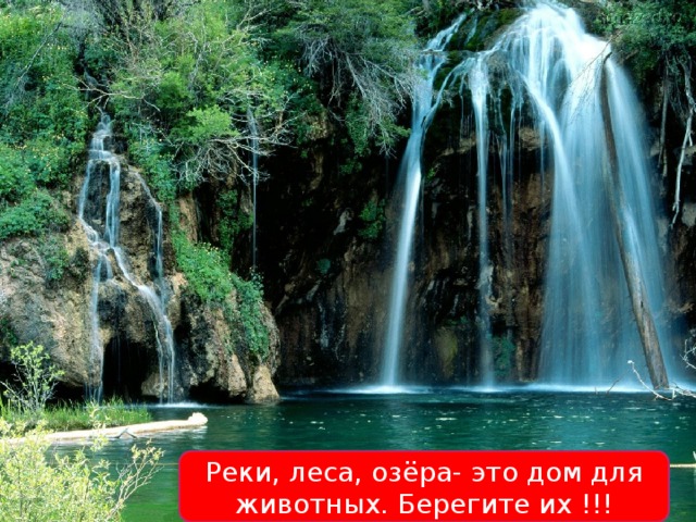 Реки, леса, озёра- это дом для животных. Берегите их !!! 