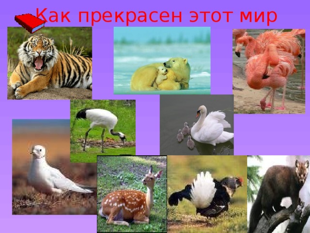 Как прекрасен этот мир 