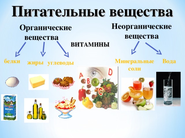 Питательные вещества Неорганические вещества  Органические вещества  ВИТАМИНЫ Вода Минеральные соли белки жиры углеводы 