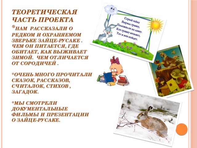 Теоретическая часть проекта  * Нам рассказали о редком и охраняемом зверьке зайце-русаке . Чем он питается, где обитает, как выживает зимой. Чем отличается от сородичей .   *Очень много прочитали сказок, рассказов, считалок, стихов , загадок.   *Мы смотрели документальные фильмы и презентации о зайце-русаке.     