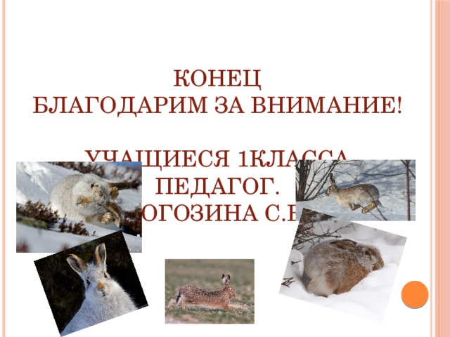 КОНЕЦ  БЛАГОДАРИМ ЗА ВНИМАНИЕ!   Учащиеся 1класса  педагог.  Рогозина С.В.    