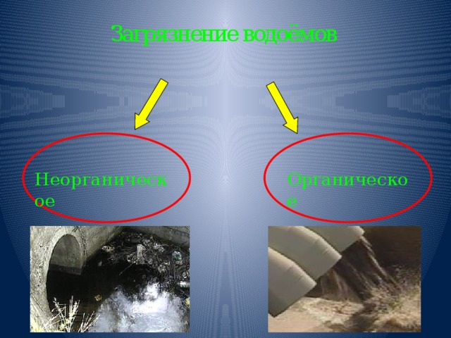 Загрязнение водоёмов Неорганическое Органическое 