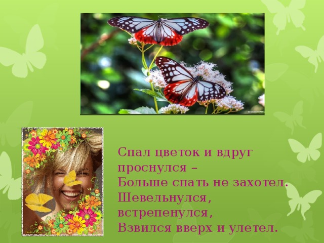        Спал цветок и вдруг проснулся – Больше спать не захотел. Шевельнулся, встрепенулся, Взвился вверх и улетел. 