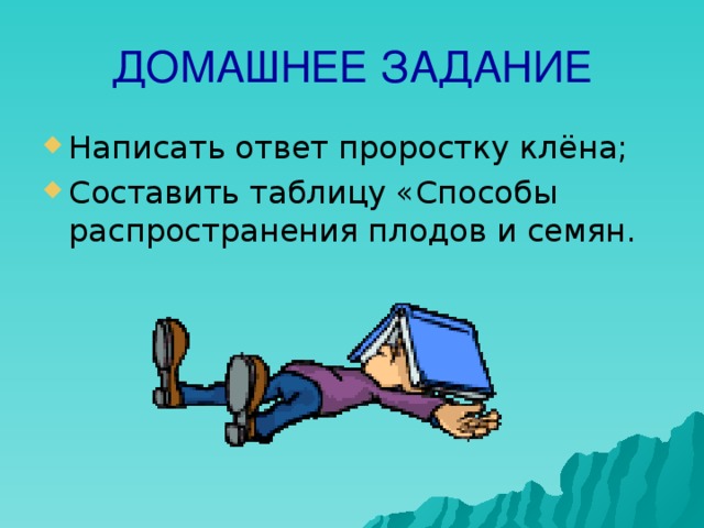 ДОМАШНЕЕ ЗАДАНИЕ Написать ответ проростку клёна; Составить таблицу «Способы распространения плодов и семян. 
