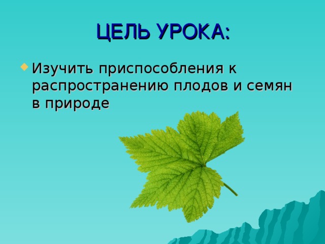 ЦЕЛЬ УРОКА: Изучить приспособления к распространению плодов и семян в природе 