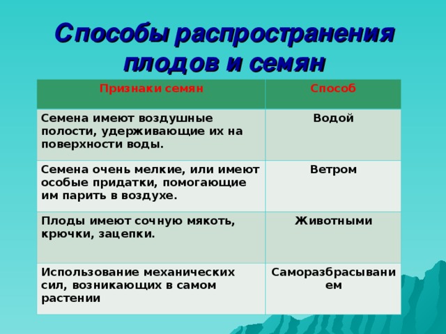 Способы распространения плодов и семян Признаки семян Способ Семена имеют воздушные полости, удерживающие их на поверхности воды. Водой Семена очень мелкие, или имеют особые придатки, помогающие им парить в воздухе. Ветром Плоды имеют сочную мякоть, крючки, зацепки. Животными Использование механических сил, возникающих в самом растении Саморазбрасыванием 