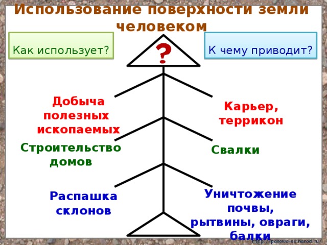 Использование поверхности земли человеком Как использует? К чему приводит? Добыча полезных ископаемых Карьер, террикон Строительство домов Свалки Уничтожение почвы, рытвины, овраги, балки Распашка склонов 