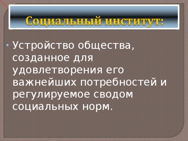 Устройство общества, созданное для удовлетворения его важнейших потребностей и регулируемое сводом социальных норм. 