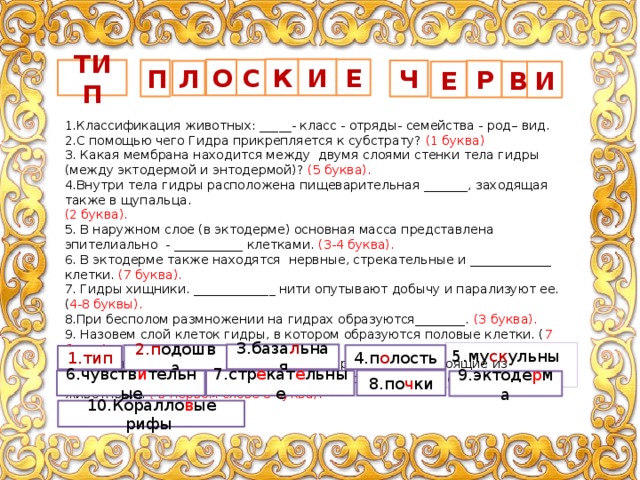 И К Е О С П ТИП Ч Р Л Е В И 1.Классификация животных: _____- класс - отряды- семейства - род– вид. 2.С помощью чего Гидра прикрепляется к субстрату? (1 буква) 3. Какая мембрана находится между двумя слоями стенки тела гидры (между эктодермой и энтодермой)? (5 буква). 4.Внутри тела гидры расположена пищеварительная _______, заходящая также в щупальца. (2 буква). 5. В наружном слое (в эктодерме) основная масса представлена эпителиально - ___________ клетками. (3-4 буква). 6. В эктодерме также находятся нервные, стрекательные и _____________ клетки. (7 буква). 7. Гидры хищники. _____________ нити опутывают добычу и парализуют ее. ( 4-8 буквы). 8.При бесполом размножении на гидрах образуются________. (3 буква). 9. Назовем слой клеток гидры, в котором образуются половые клетки. ( 7 буква). 10. Как называют большие подводные образования, состоящие из скелетов коралловых полипов, являющихся морскими беспозвоночными животными. ( в первом слове 8 буква). 5.му ск ульными 3.база л ьная 2.п одошва 4.п о лость 1.тип 8.по ч ки 6.чувств и тельные 7.стр е кат е льные 9.эктоде р ма 10.Коралло в ые рифы 
