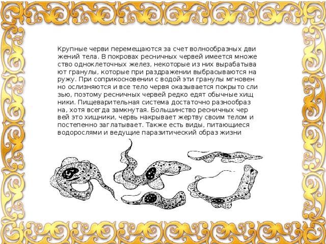 Круп­ные черви пе­ре­ме­ща­ют­ся за счет вол­но­об­раз­ных дви­же­ний тела. В по­кро­вах рес­нич­ных чер­вей име­ет­ся мно­же­ство од­но­кле­точ­ных желез, неко­то­рые из них вы­ра­ба­ты­ва­ют гра­ну­лы, ко­то­рые при раз­дра­же­нии вы­бра­сы­ва­ют­ся на­ру­жу. При со­при­кос­но­ве­нии с водой эти гра­ну­лы мгно­вен­но ослиз­ня­ют­ся и все тело червя ока­зы­ва­ет­ся по­кры­то сли­зью, по­это­му рес­нич­ных чер­вей редко едят обыч­ные хищ­ни­ки. Пи­ще­ва­ри­тель­ная си­сте­ма до­ста­точ­но раз­но­об­раз­на, хотя все­гда за­мкну­тая. Боль­шин­ство рес­нич­ных чер­вей это хищ­ни­ки, червь на­кры­ва­ет жерт­ву своим телом и по­сте­пен­но за­гла­ты­ва­ет. Также есть виды, пи­та­ю­щи­е­ся во­до­рос­ля­ми и ве­ду­щие па­ра­зи­ти­че­ский образ жизни 