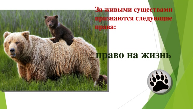 За живыми существами признаются следующие права: право на жизнь 