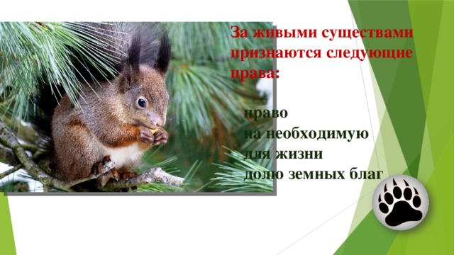 За живыми существами признаются следующие права: право на необходимую для жизни долю земных благ  