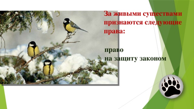 За живыми существами признаются следующие права: право  на защиту законом 