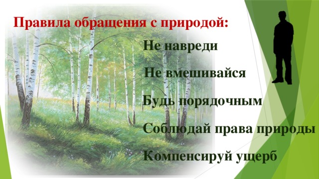 Правила обращения с природой: Не навреди Не вмешивайся Будь порядочным Соблюдай права природы Компенсируй ущерб 