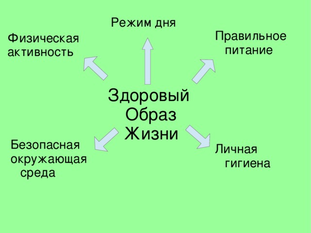 Режим дня Правильное питание Физическая активность Здоровый  Образ  Жизни Безопасная окружающая среда Личная гигиена  