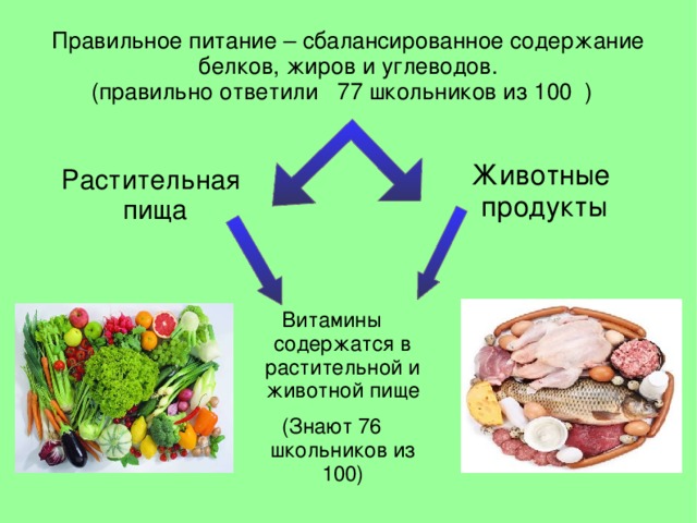 Правильное питание – сбалансированное содержание белков, жиров и углеводов.  (правильно ответили 77 школьников из 100 ) Животные продукты Растительная пища Витамины содержатся в растительной и животной пище (Знают 76 школьников из 100)  