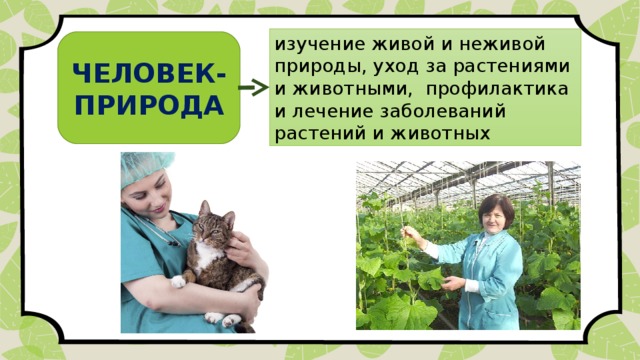 изучение живой и неживой природы, уход за растениями и животными, профилактика и лечение заболеваний растений и животных ЧЕЛОВЕК- ПРИРОДА 