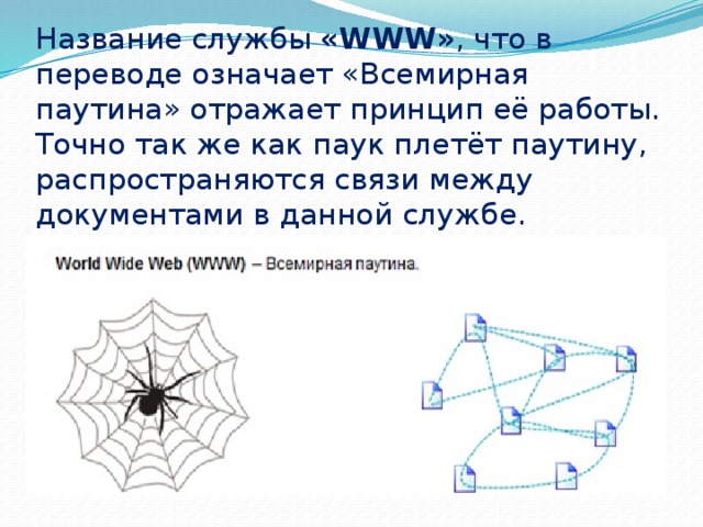 Название службы  «WWW» , что в переводе означает «Всемирная паутина» отражает принцип её работы. Точно так же как паук плетёт паутину, распространяются связи между документами в данной службе. 