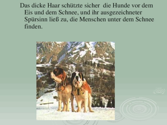  Das dicke Haar schützte sicher die Hunde vor dem Eis und dem Schnee, und ihr ausgezeichneter Spürsinn ließ zu, die Menschen unter dem Schnee finden. 