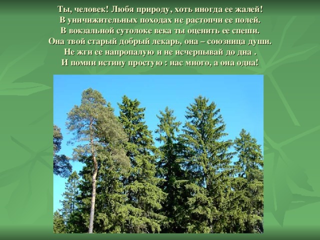  Ты, человек! Любя природу, хоть иногда ее жалей!  В уничижительных походах не растопчи ее полей.  В вокзальной сутолоке века ты оценить ее спеши.  Она твой старый добрый лекарь, она – союзница души.  Не жги ее напропалую и не исчерпывай до дна .  И помни истину простую : нас много, а она одна! 