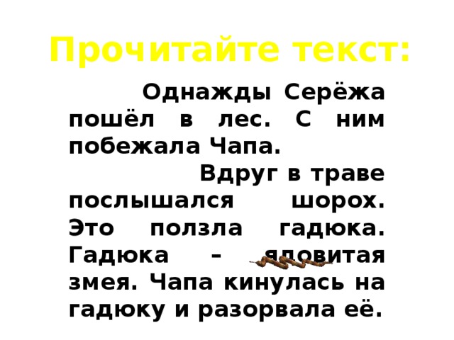 Прочитайте текст:  Однажды Серёжа пошёл в лес. С ним побежала Чапа. Вдруг в траве послышался шорох. Это ползла гадюка. Гадюка – ядовитая змея. Чапа кинулась на гадюку и разорвала её. 