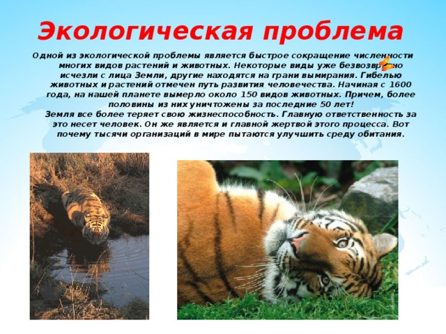 Экологическая проблема Одной из экологической проблемы является быстрое сокращение численности многих видов растений и животных. Некоторые виды уже безвозвратно исчезли с лица Земли, другие находятся на грани вымирания. Гибелью животных и растений отмечен путь развития человечества. Начиная с 1600 года, на нашей планете вымерло около 150 видов животных. Причем, более половины из них уничтожены за последние 50 лет!  Земля все более теряет свою жизнеспособность. Главную ответственность за это несет человек. Он же является и главной жертвой этого процесса. Вот почему тысячи организаций в мире пытаются улучшить среду обитания. 