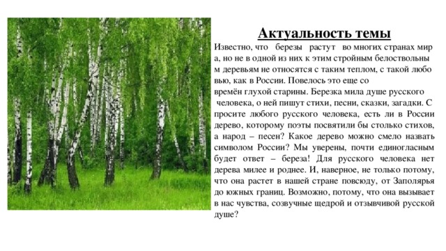 Актуальность темы Известно, что   березы   растут   во многих странах мира, но не в одной из них к этим стройным белоствольным деревьям не относятся с таким теплом, с такой любовью, как в России. Повелось это еще со времён глухой старины. Березка мила душе русского   человека, о ней пишут стихи, песни, сказки, загадки. Спросите любого русского человека, есть ли в России дерево, которому поэты посвятили бы столько стихов, а народ – песен? Какое дерево можно смело назвать символом России? Мы уверены, почти единогласным будет ответ – береза! Для русского человека нет дерева милее и роднее. И, наверное, не только потому, что она растет в нашей стране повсюду, от Заполярья до южных границ. Возможно, потому, что она вызывает в нас чувства, созвучные щедрой и отзывчивой русской душе?  