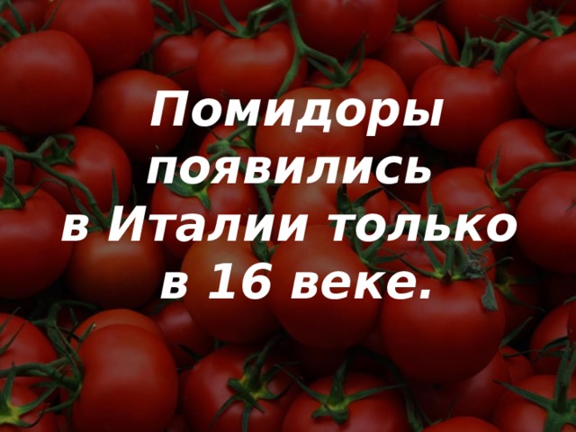 Помидоры появились  в Италии только  в 16 веке. 