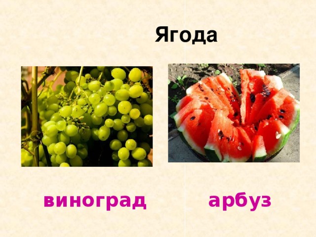  Ягода  виноград арбуз 