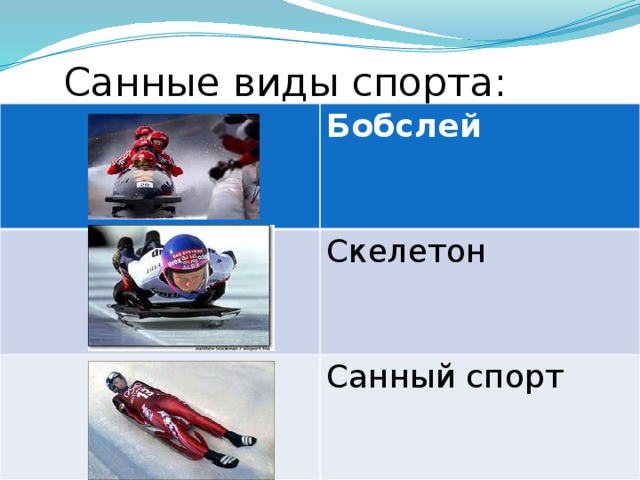 Санные виды спорта: Бобслей Скелетон Санный спорт