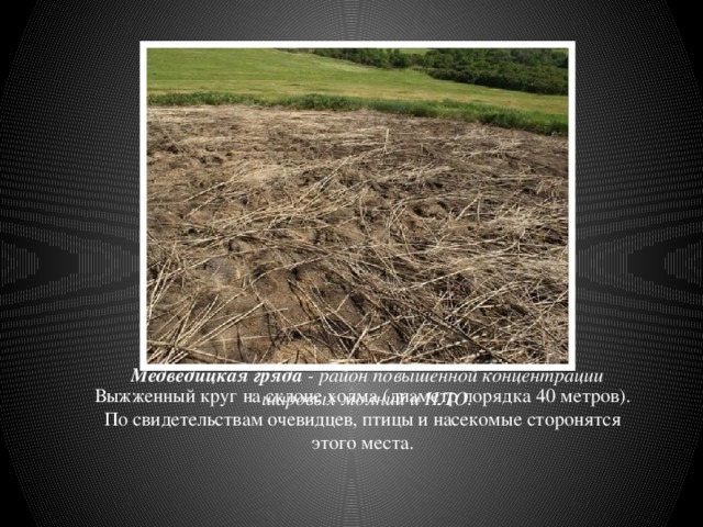 Медведицкая гряда - район повышенной концентрации шаровых молний и НЛО. Выжженный круг на склоне холма (диаметр порядка 40 метров). По свидетельствам очевидцев, птицы и насекомые сторонятся этого места. 