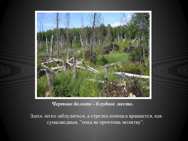 Чертово болото - блудное место. Здесь легко заблудиться, а стрелка компаса вращается, как сумасшедшая, 