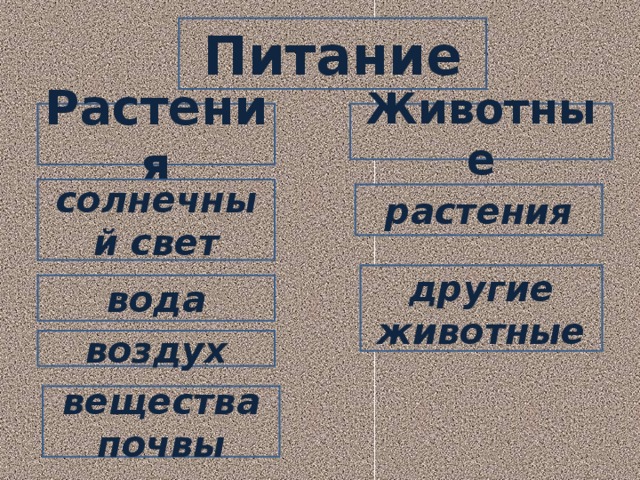 Питание Растения Животные солнечный свет растения другие животные вода воздух вещества почвы  