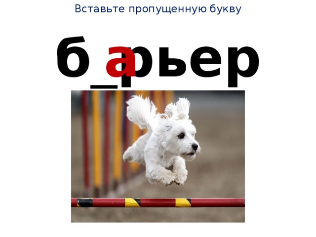 Вставьте пропущенную букву б _ рьер а 