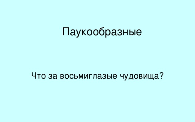 Паукообразные Что за восьмиглазые чудовища? Что за восьмиглазые чудовища?  