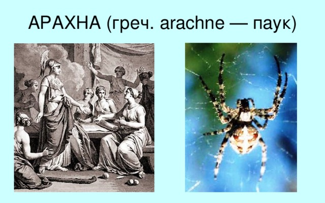 АРАХНА (греч. arachne — паук) В древнегреческих мифах это имя девушки, которая, по преданию, достигла такого высокого ткацкого искусства, что вызвала на состязание саму богиню Афину. Арахна выткала ткань лучше Афины. Но Афина не признала достоинств Арахны и превратила ее в паука, вечно ткущего свою паутину.  