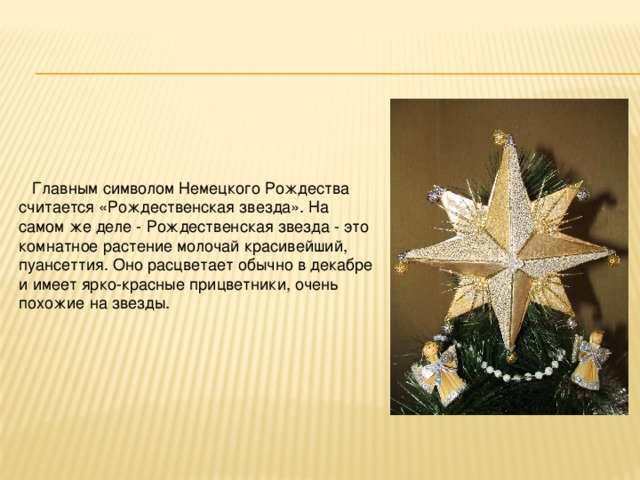  Главным символом Немецкого Рождества считается «Рождественская звезда». На самом же деле - Рождественская звезда - это комнатное растение молочай красивейший, пуансеттия. Оно расцветает обычно в декабре и имеет ярко-красные прицветники, очень похожие на звезды. 